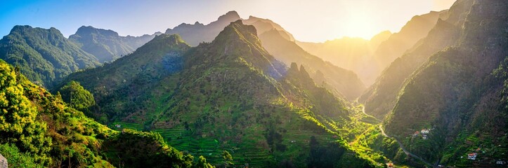 a large grassy hillside with green plants and mountains in the background