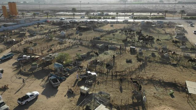 Camel market aerial view  Najran  Saudi Arabia