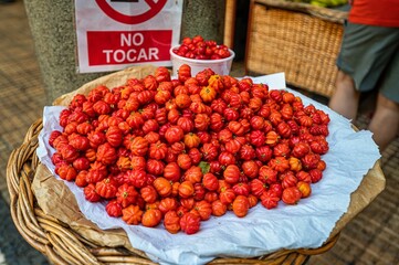 Abundance of Suriname cherries on display.