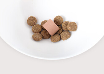 Dog dewormer or flea and tick treatment in pet food dish with kibbles. Treatment for dogs and puppies for worms and parasites such as heartworms, hookworm, roundworm, tapeworm and whipworm.