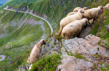 On the Transfagarasan in Romania