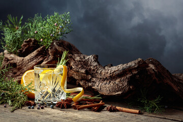 Cocktail gin-tonic with lemon, cinnamon, anise, and juniper berries.