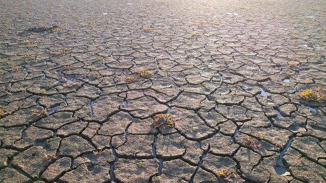 Aerial video of cracks in the ground during a drought on a sunny day