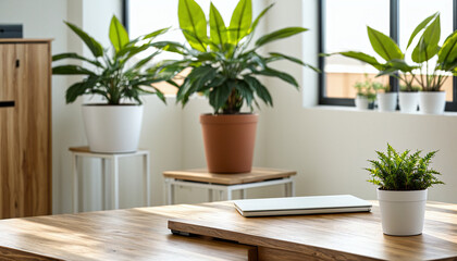 green plants in pot on a table top and laptop in bright office with white walls as blurry background, generative AI