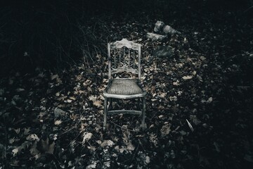 An empty wooden chair situated in the midst of a lush bed of freshly fallen leaves in a garden
