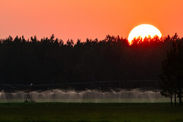 Golden Horizon: Sunsets Over Pine Forest and the Rustic Farm Irrigation