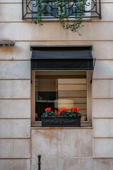 Fototapeta na wymiar Vertical shot of windowsills decorated with plants in Paris, France
