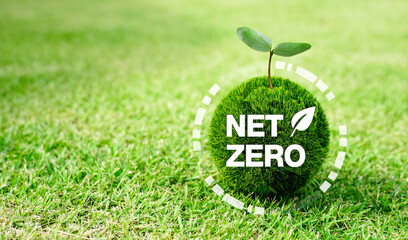 Green earth on grass and tree on top for choosing net zero emissions concept on the ground with...