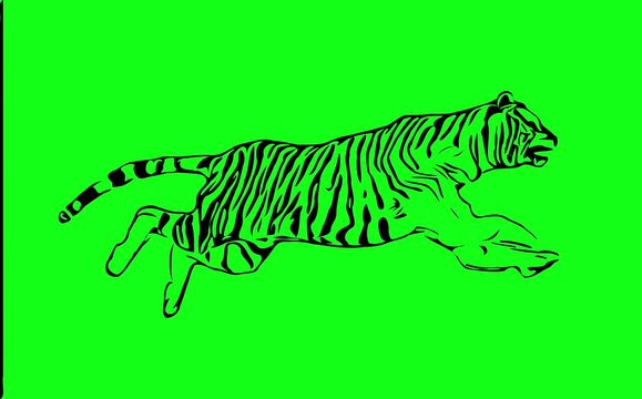 Greencreen video cartoon animal sketches walking and running