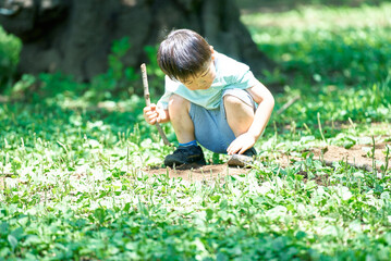 草むらでしゃがんで虫を探す男の子