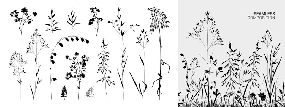 Big floral collections of black silhouettes of meadow herbs, floral backgrounds and wreaths. Wildflowers. Wild grass. Floral elements for your design