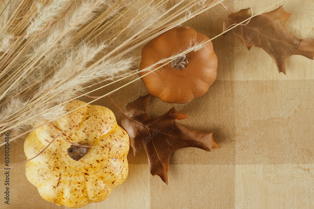 Poster rustic fall season flat lay with seasonal pumpkin and plaid background. - Posters