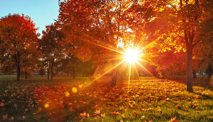 Autumn Landscape. Fall Scene. Trees and Leaves, Foggy Forest in Sunlight Rays