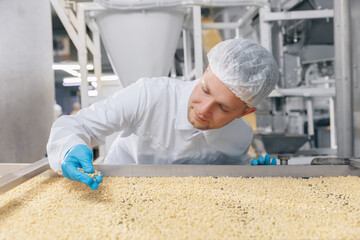Man worker controls quality of pine nuts on production line. Industrial plant of organic food cedar...