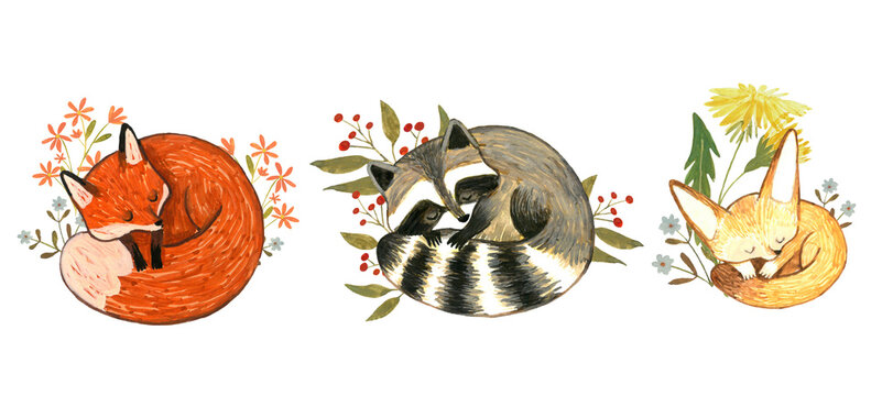 sleeping foxy, foxy in flower, gouache cartoon illustration, fennec foxy, watercolor, raccoon illustration, cute fox, sleeping animals
