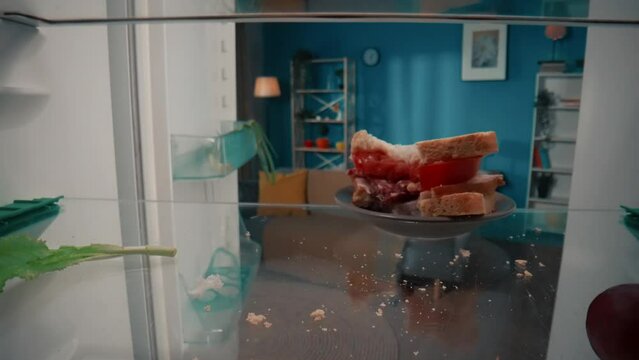 Open empty refrigerator. A bitten sandwich on a plate on a shelf among leftovers and food crumbs. There is no food at home. The concept of economic, financial crisis. View from inside the refrigerator