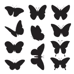 Foto op Plexiglas butterfly silhouette collection isolated black vector illustration © Rukmana