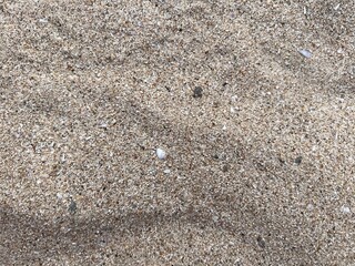texture of the sand