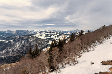 Bergige Landschaft im Salzkammergut