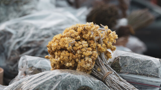 A bouquet of Macela flower, (Achyrocline satureioides) can be made hot tea of ​​Macela flowers for health. Macela flowers, medicinal plant, natural.