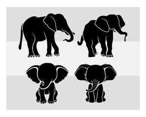 Baby Elephant Svg | Bundle | Baby Elephant Baby | Elephant Silhouette | Elephant Svg | Cute Elephant Svg | Cute Elephant | Animal Svg | Animal Silhouett | Elephant Clipart | Baby Shower| Vcetor| Outli