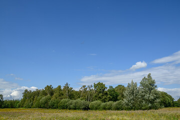 Sommerzeit im westlichen Münsterland