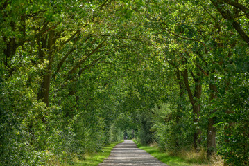 Sommerzeit im westlichen Münsterland