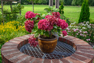 Sommerzeit im westlichen Münsterland