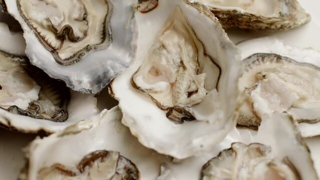 Fresh Oysters on the Plate Rotating. Close Up, Slow Motion.