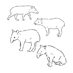 Tapir animal sketch engraving vector illustration. Scratch board style imitation. Hand drawn image.