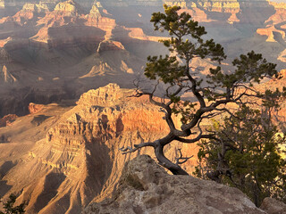 Grand Canyon panorama at sunset