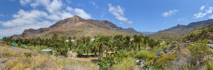 Fototapeta na wymiar Panorama Landschaft im Barranco de Fataga auf der Insel Gran Canaria / Kanaren
