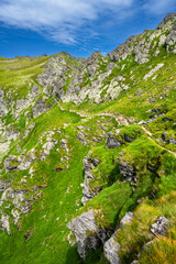 Summer landscape of the Fagaras Mountains. View from the hiking trail from Lake Balea to Mount Negoiu. Amazing rock formations of the Carpathians, Romania.
