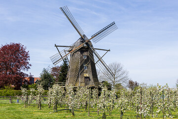 Letter Windmühle bei Coesfeld im Münsterland - 630850646