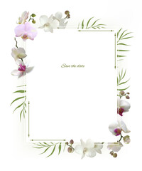 Orchid. White flower. Tropical plants. Floral background. Beautiful vector illustration of white and pink orchids. Square frame decorated with tropical, exotic flowers. Palm green leaves.
