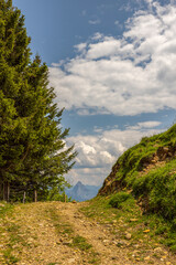 Obraz premium Rigi Scheidegg - ein Berggipfel des Rigi-Massivs am Vierwaldstättersee in der Schweiz 