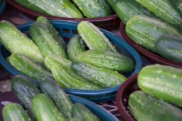 Fresh Cucumbers Displayed in Baskets at Farmers Market