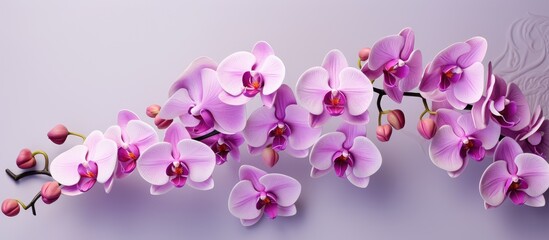 Close up of a branch with lilac orchids, with space for copying.