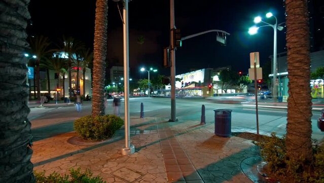 Westwood intersection pan with palm trees