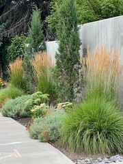 beautiful xeriscape garden landscape with ornamental grasses, xeric perennials and foliage plants