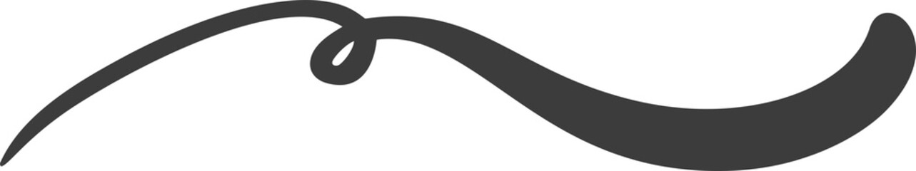 Swashes swoops and swishes calligraphy sign. Underlines hand drawn stroke.