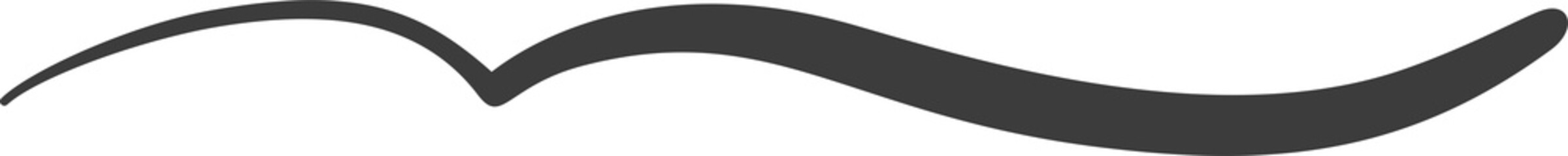 Swashes swoops and swishes calligraphy sign. Underlines hand drawn stroke.