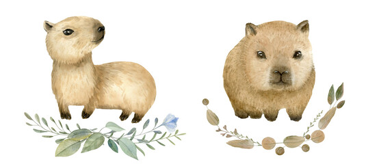 Hand Drawn Watercolor Cute Animal Baby Capybaras Set