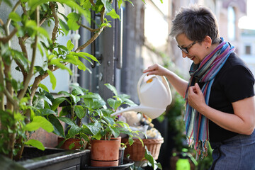 A mature woman waters plants on her balcony. She has a white watering can and terracotta pots. She...
