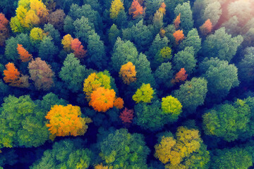 Fototapeta na wymiar Beautiful forest with autumn shades. bird's eye view. AI-generated
