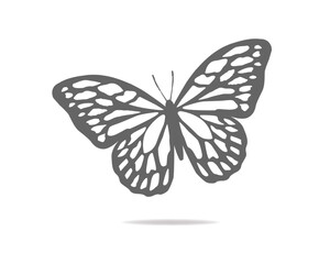 butterfly on white background