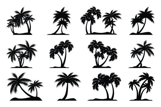 Coconut tree silhouette icon, palm tree silhouette vector collection.
