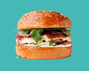 craft hamburger with marinated pork on a green background for a restaurant website, studio shooting