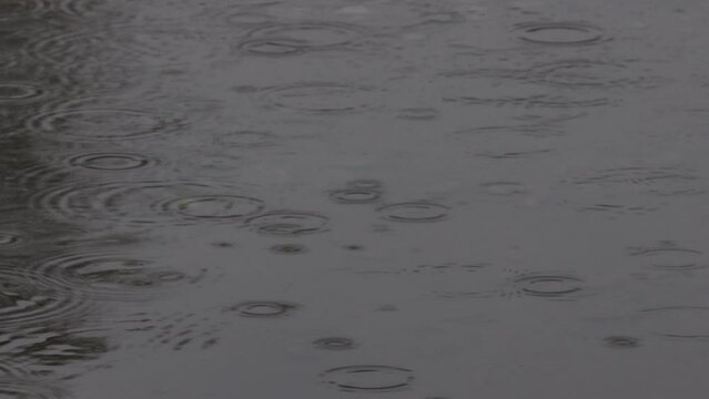 rain hitting a puddle video