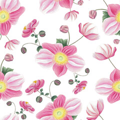 Fototapeta na wymiar Seamless pattern with pink anemone, leaves and bud. Hand drawn illustration isolated on white. Botanical background for fabric, wrapping paper, wallpaper decoration.
